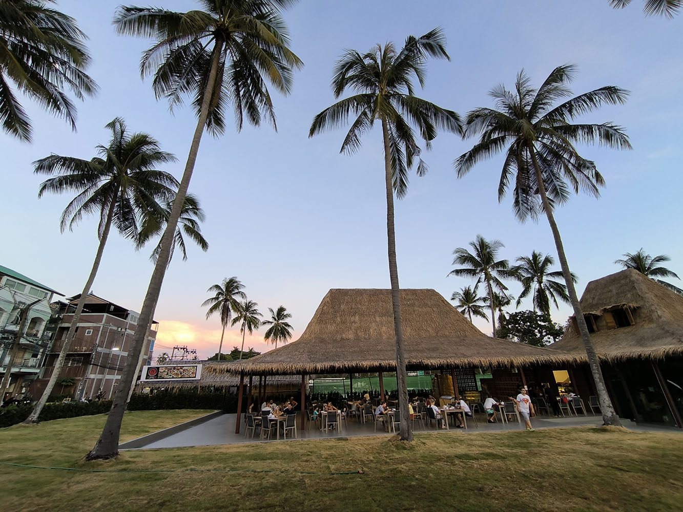 The park café under a thatched roof among palm trees at sunset